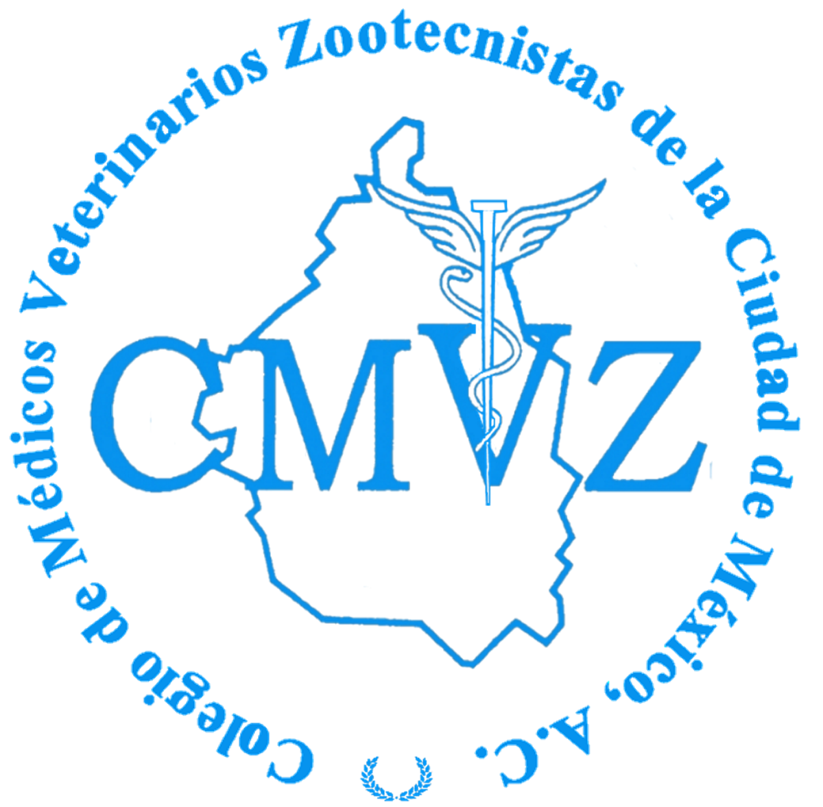 CMVZ CDMX